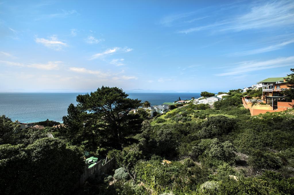 ホテル Penguinden - Load-Shedding Free Simonʼs Town エクステリア 写真