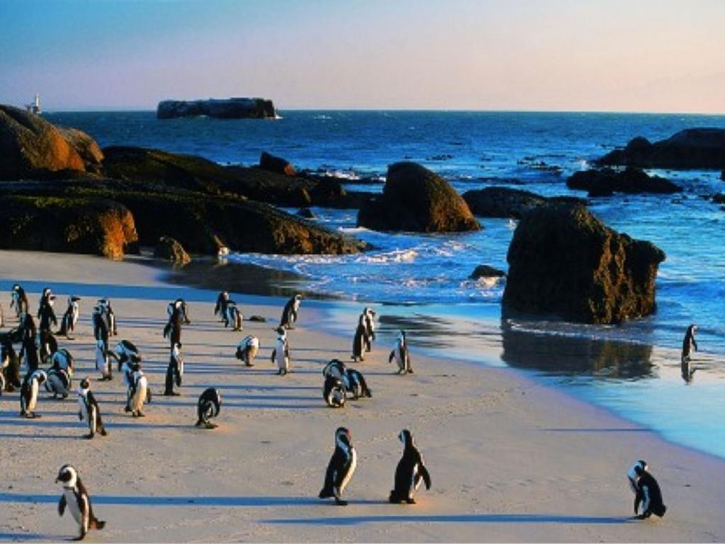 ホテル Penguinden - Load-Shedding Free Simonʼs Town エクステリア 写真